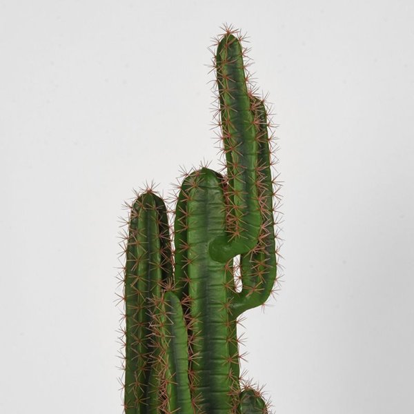 Kunstplant Cactus 30x25x130 cm